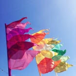 Colour flags